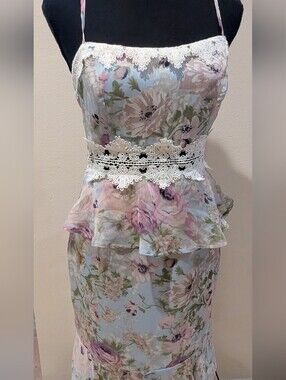 NWT Missguided Floral Chiffon Midi Dress Women’s 6 Blue Lace Ruffle Cottagecore